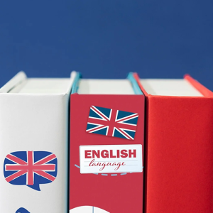 Inglés práctico para profesionales